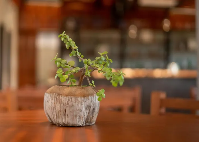 Hotel Muyu Tulum
